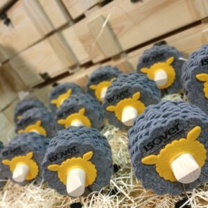 bez nazwy (625 x 625 px) (5)